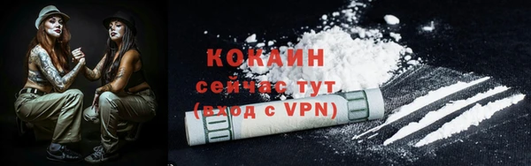 прущие грибы Дмитровск