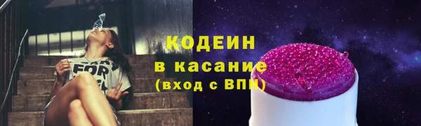PSILOCYBIN Горняк