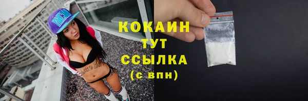 PSILOCYBIN Горняк