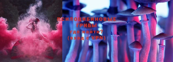 PSILOCYBIN Горняк