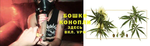 прущий лед Горно-Алтайск