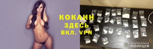 PSILOCYBIN Горняк