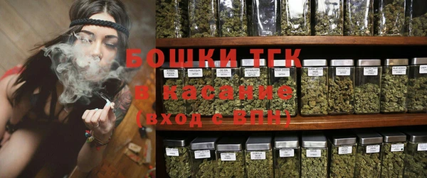 PSILOCYBIN Горняк