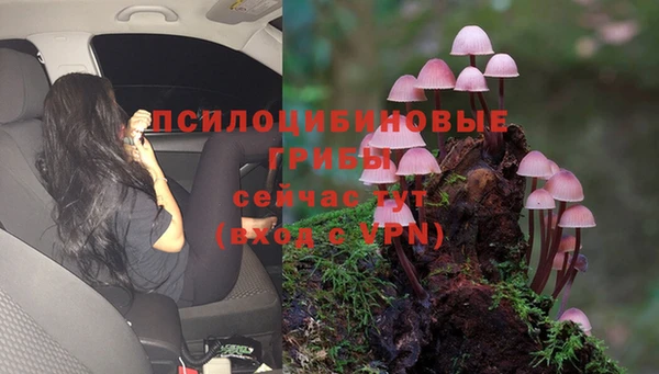 прущие крисы Горнозаводск