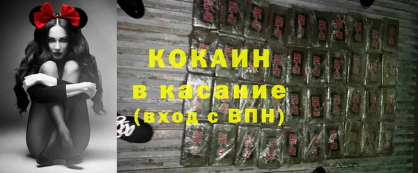 прущие грибы Дмитровск