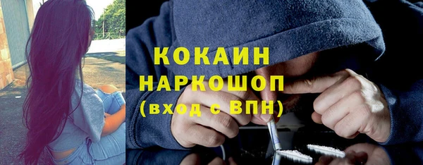 прущие грибы Дмитровск