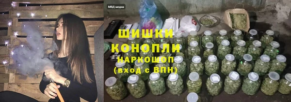 PSILOCYBIN Горняк