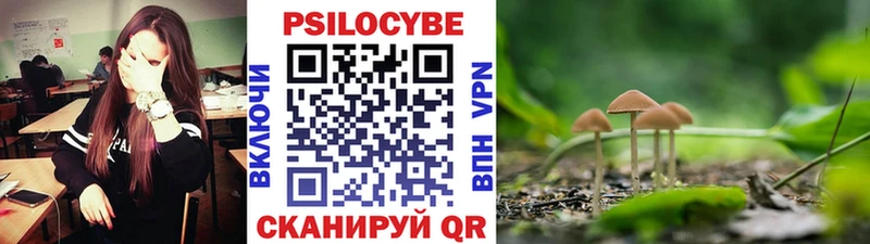дарк нет состав  Джанкой  Галлюциногенные грибы Cubensis 
